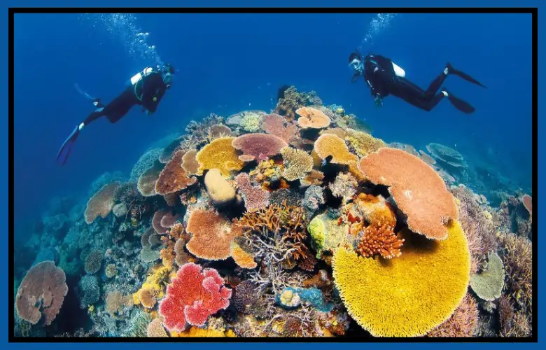 Best Places to Scuba Dive Around the World Best Places to Scuba Dive Around the World